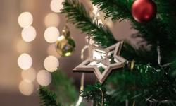 Featured image of post Month in Review: November 2023