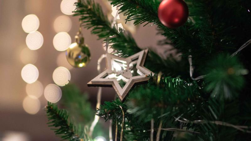 Featured image of post Month in Review: November 2023