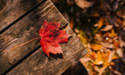 Featured image of post Month in Review: October 2023