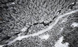 Featured image of post Year in Review: 2023