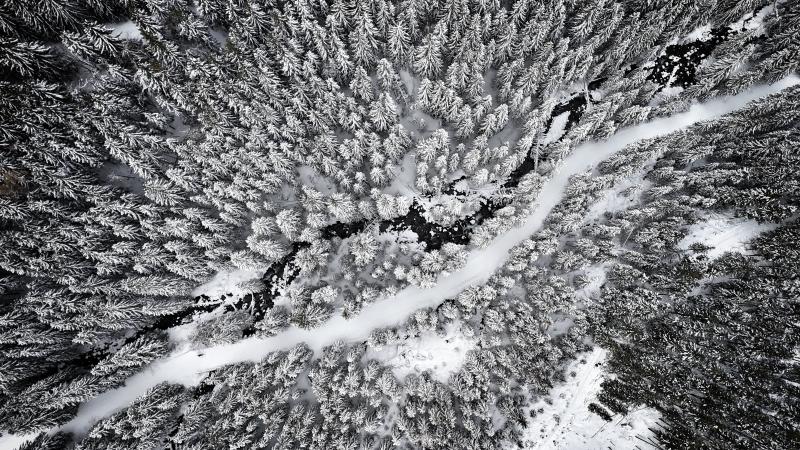 Featured image of post Year in Review: 2023